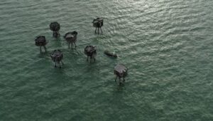 World War II: Secrets from Above: 1×2