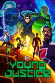 Young Justice 2010