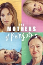 The Mothers of Penguins 2024