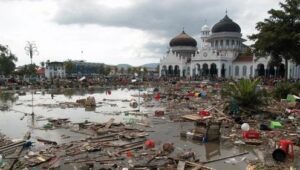 Tsunami: Race Against Time: 1×1