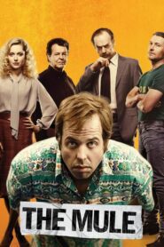 The Mule 2014