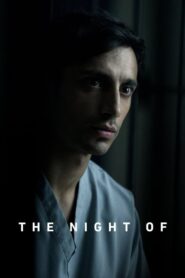 The Night Of: Season 1