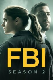 FBI: Season 2