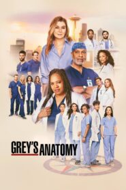 Grey’s Anatomy: Season 21
