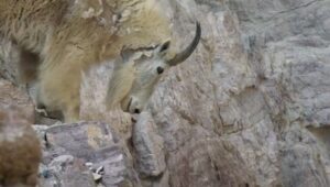 Hostile Planet: 1×1