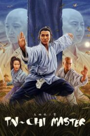 Tai-Chi Master 1993