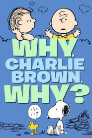 Why, Charlie Brown, Why? 1990