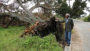 The Story of God with Morgan Freeman: 1×2