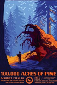 100,000 Acres of Pine 2020