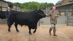 Clarkson’s Farm: 4×5