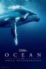 Ocean with David Attenborough 2025