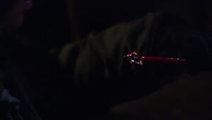 Criminal Minds: 5×21