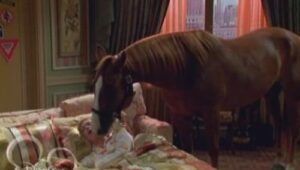 The Suite Life of Zack & Cody: 2×5