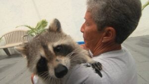 Unlikely Animal Friends: 3×5