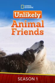 Unlikely Animal Friends: Season 1