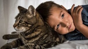 Unlikely Animal Friends: 2×5