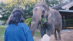 Unlikely Animal Friends: 3×1