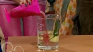 The Suite Life on Deck: 1×8