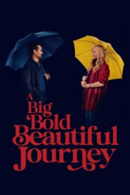 A Big Bold Beautiful Journey 2025