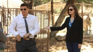 Bones: 8×4
